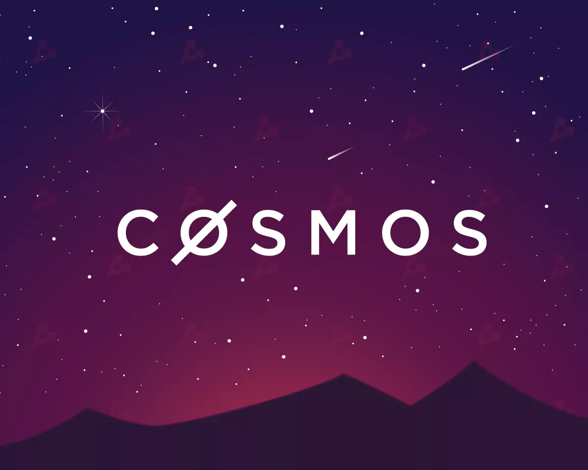 cosmos2-min.webp