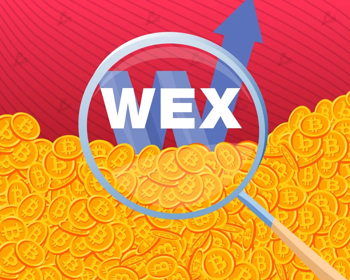 wex-min-1.webp