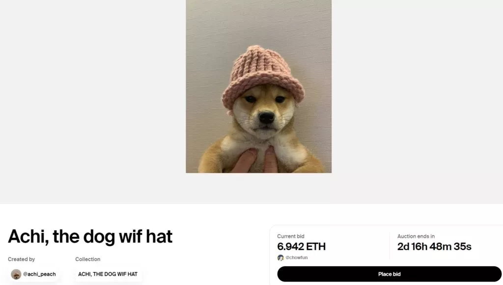 Achi-the-dog-wif-hat-Foundation-Google-Chrome-1024x580.webp